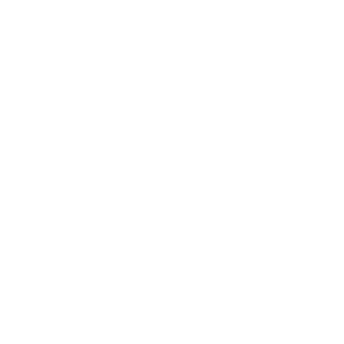 CHAISNMOKERS LOGO