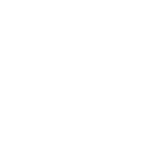 nikita the wicked logo